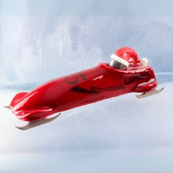 Bûche Bobsleigh