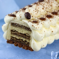 Bûche Tiramisu