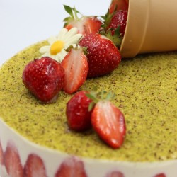 Fraisier