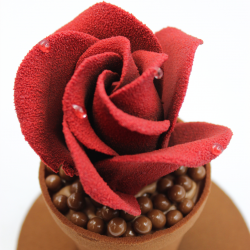 Rose en chocolat